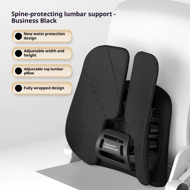 Dynamic Ergonomic Vertebral Support System