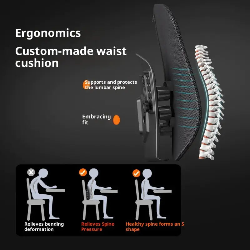 Dynamic Ergonomic Vertebral Support System